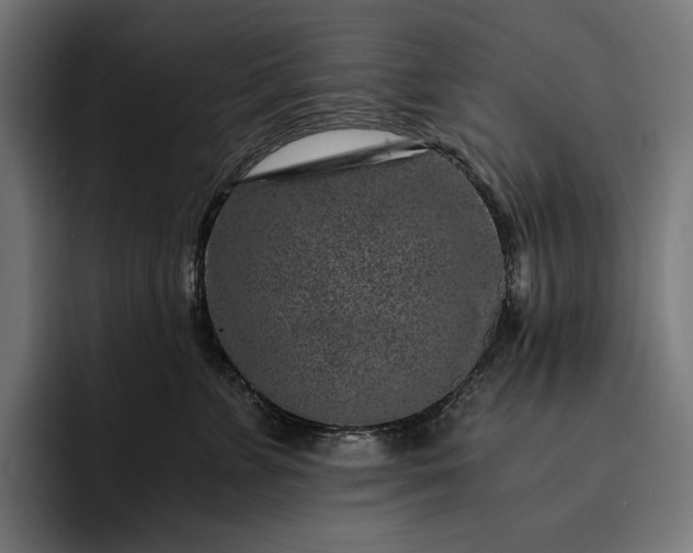 X0000093120715200710101040