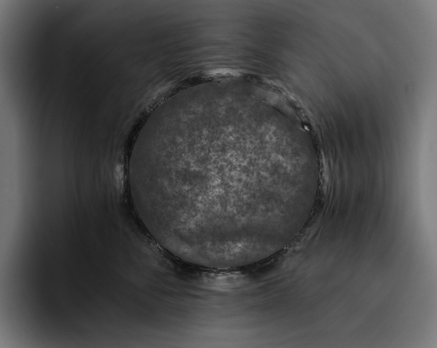 X0000093120716200710101040