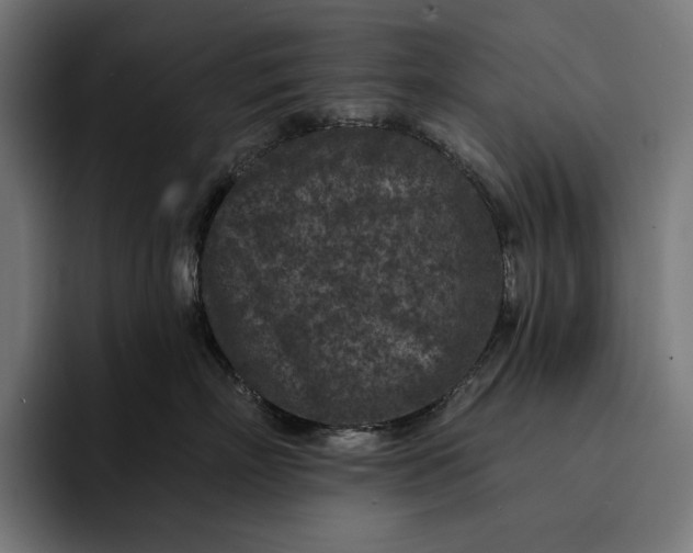 X0000093120718200710101040