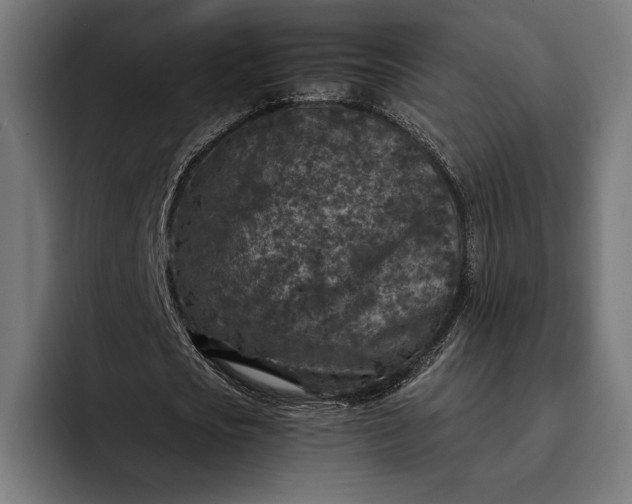 X0000093120721200710101039