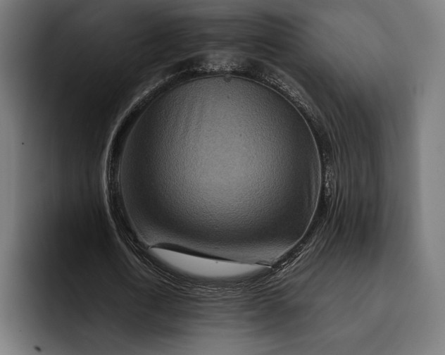 X0000093120722200710101039