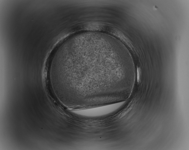 X0000093120723200710101039