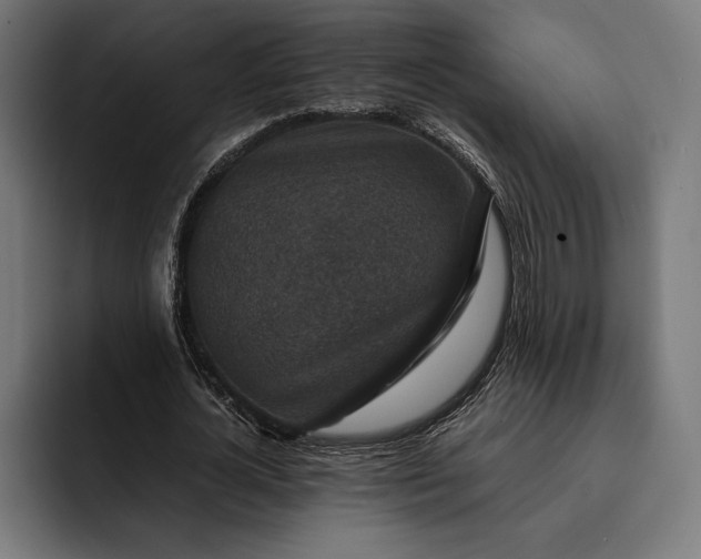 X0000093120724200710101039