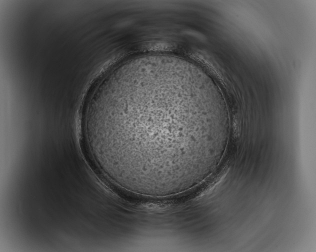 X0000093120725200710101039