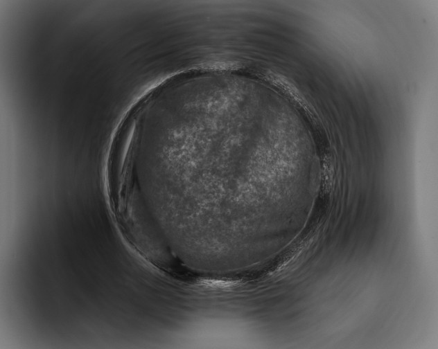 X0000093120726200710101039