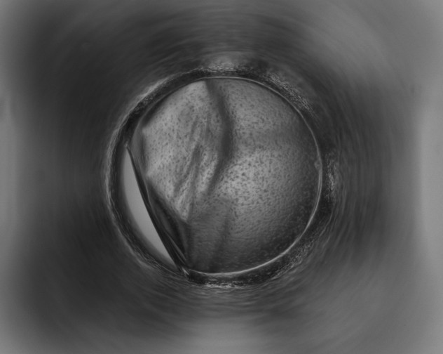 X0000093120728200710101039