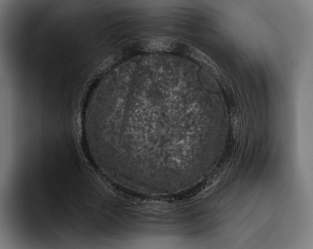 X0000093120729200710101040