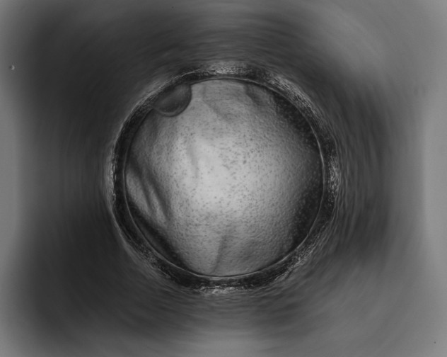 X0000093120730200710101040