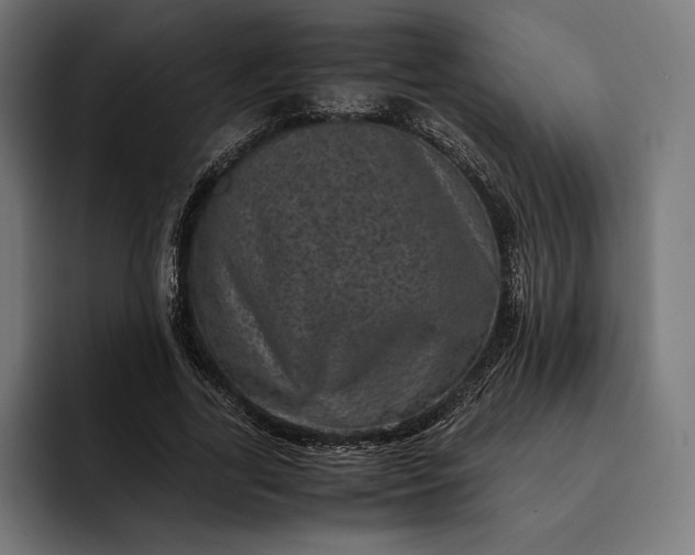 X0000093120731200710101040