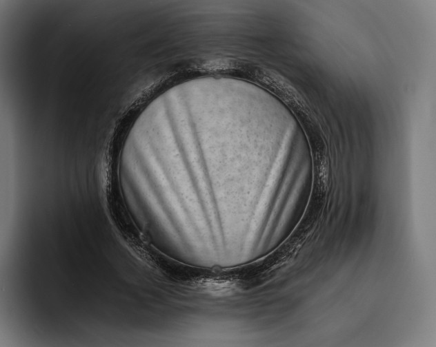 X0000093120732200710101040