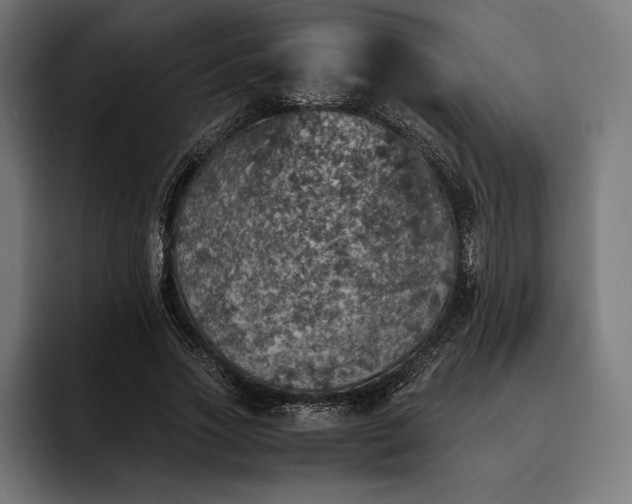 X0000093120733200710101040