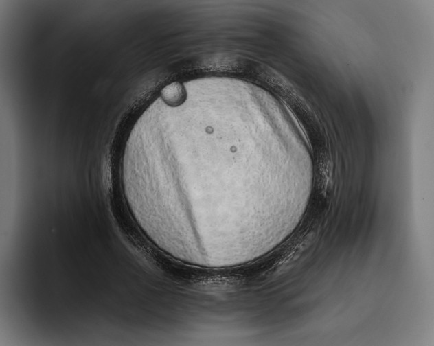 X0000093120734200710101040