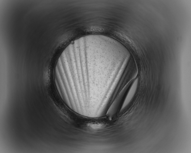 X0000093120735200710101040