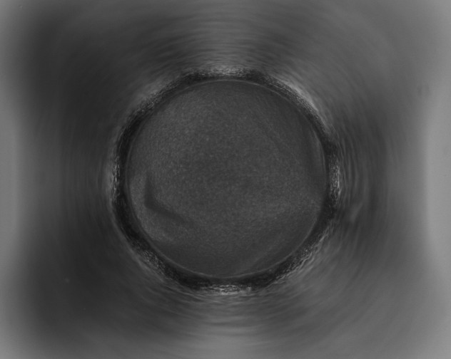 X0000093120736200710101040