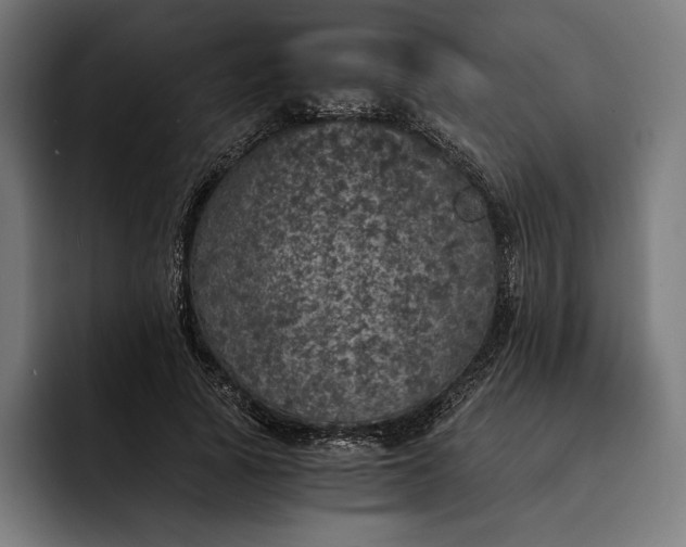 X0000093120737200710101040