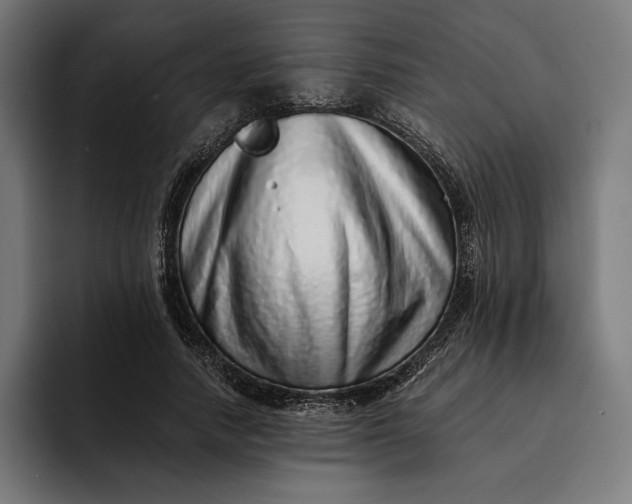 X0000093120738200710101040