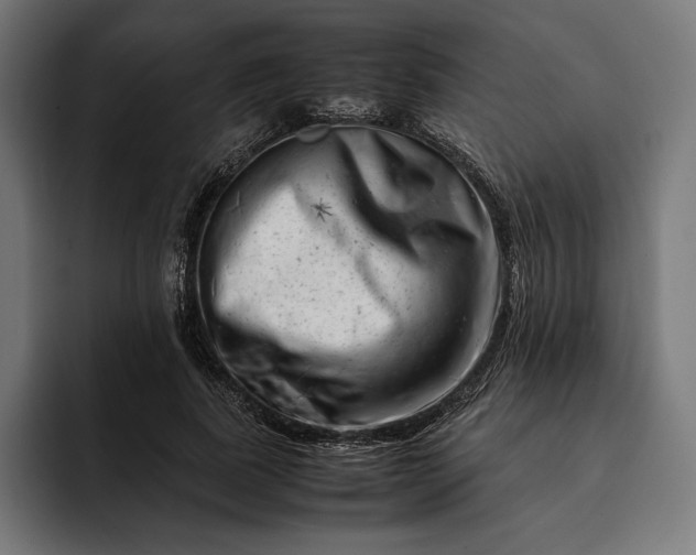 X0000093120739200710101040