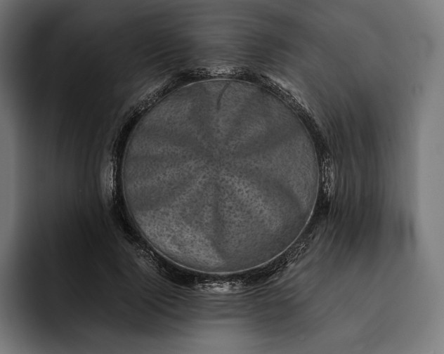 X0000093120740200710101040