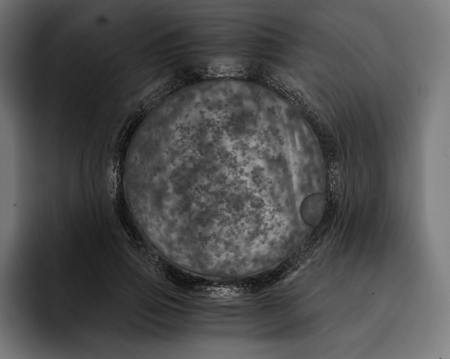 X0000093120741200710101040