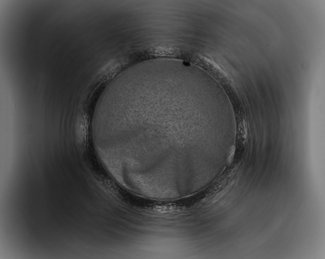 X0000093120744200710101040