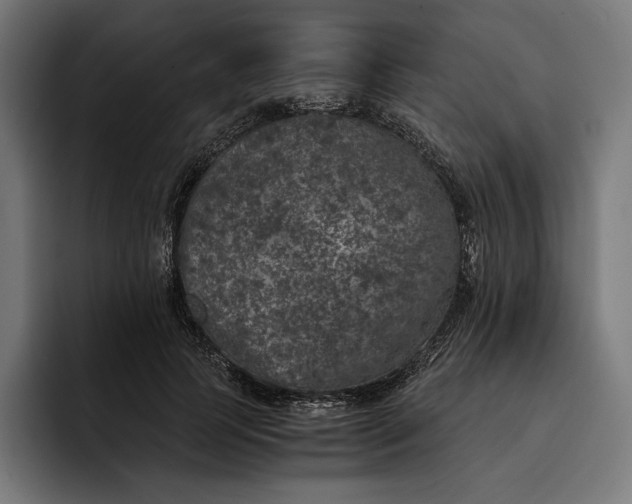 X0000093120745200710101040