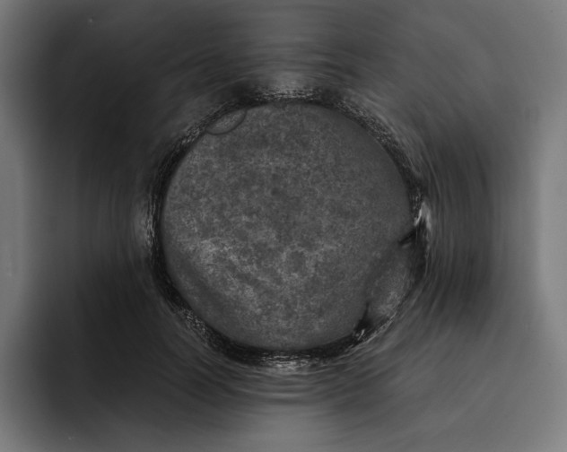 X0000093120746200710101040