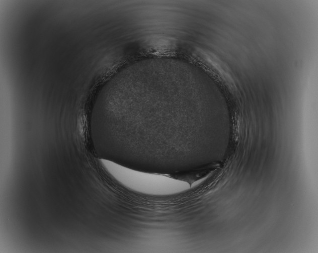 X0000093120748200710101040