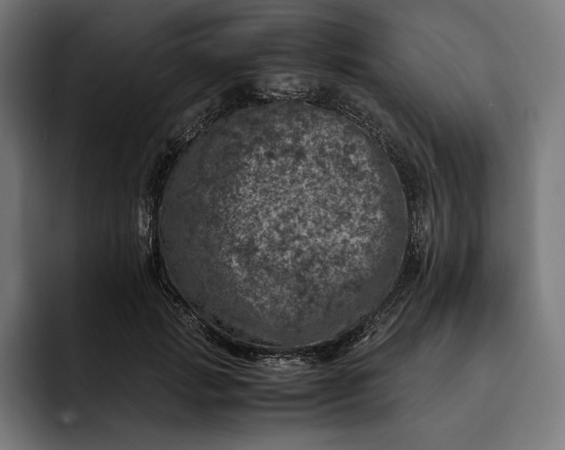 X0000093120749200710101040