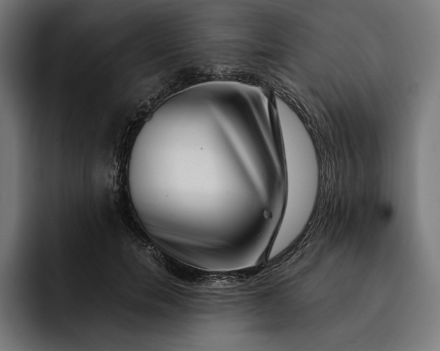 X0000093120750200710101040