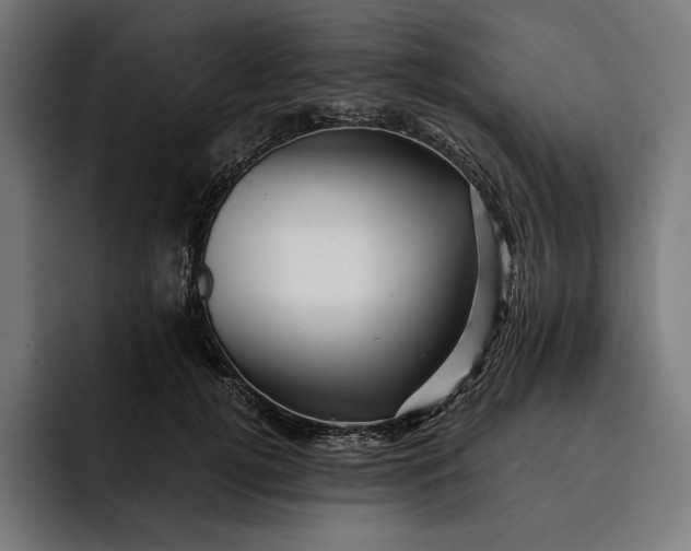 X0000093120752200710101040