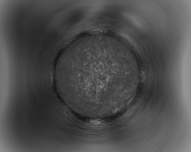 X0000093120753200710101040