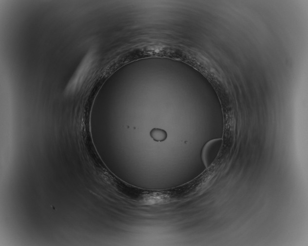 X0000093120754200710101040