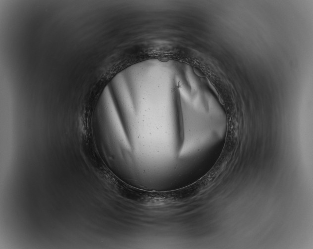 X0000093120755200710101040