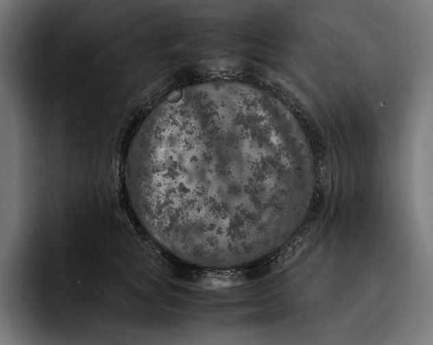 X0000093120757200710101040