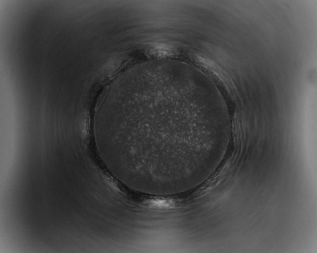 X0000093120760200710101040