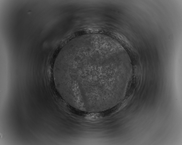 X0000093120761200710101040