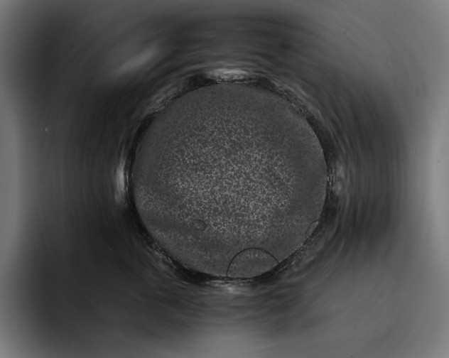 X0000093120763200710101040