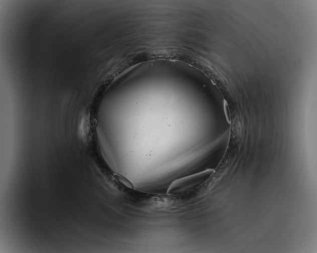 X0000093120764200710101040