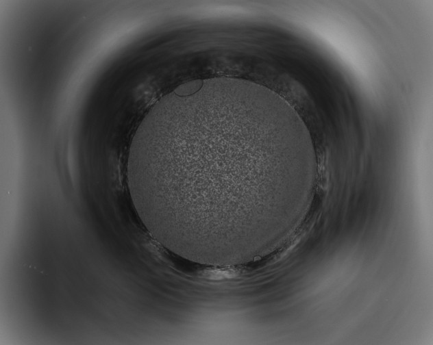 X0000093120765200710101040