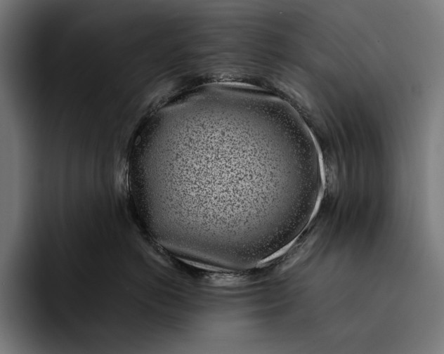 X0000093120766200710101040