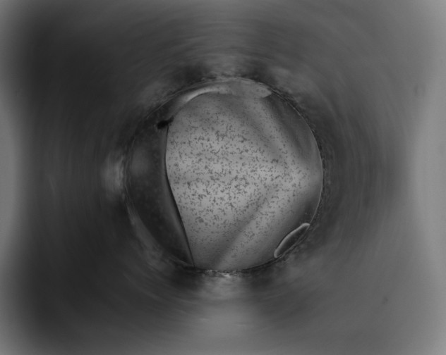 X0000093120768200710101040