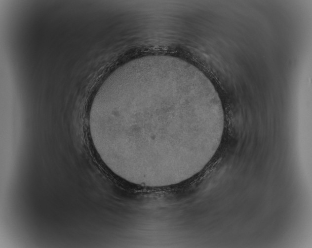 X0000093120769200710101039