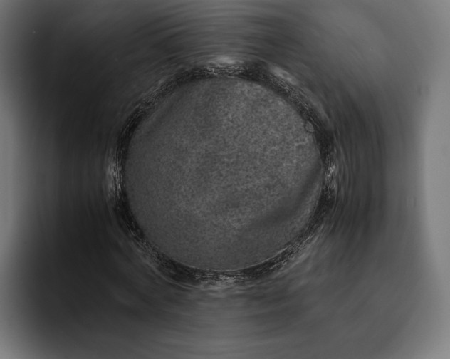 X0000093120772200710101039