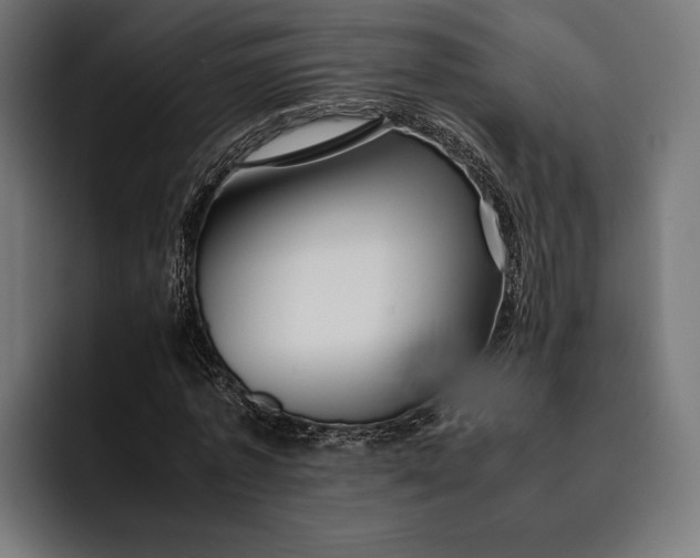 X0000093120773200710101039