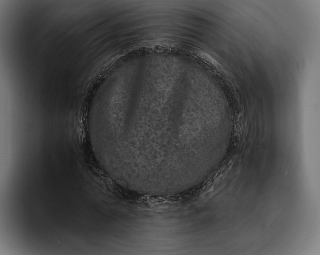 X0000093120774200710101039