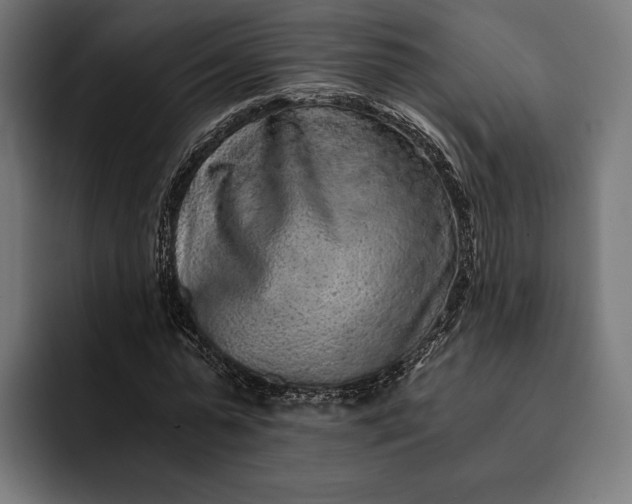 X0000093120775200710101039