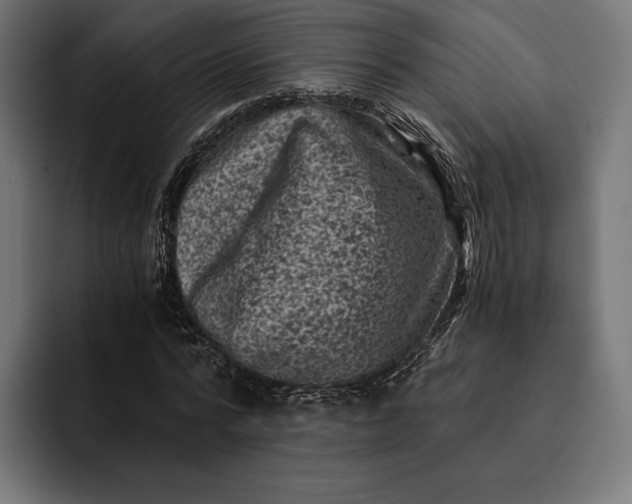 X0000093120776200710101039