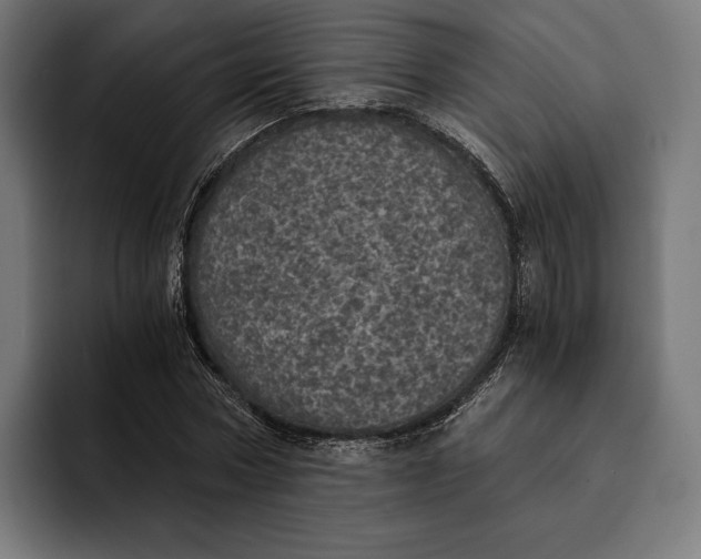 X0000093120778200710101039