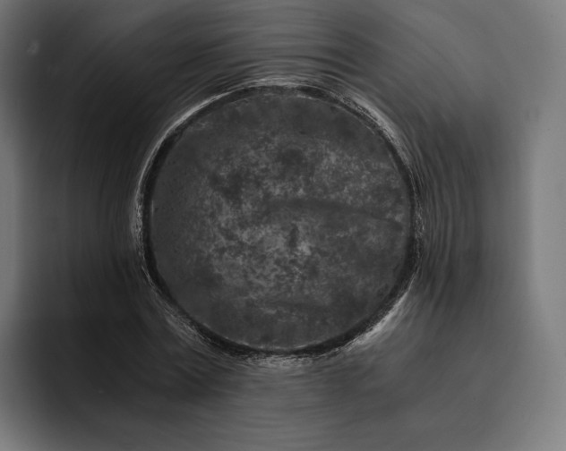 X0000093120779200710101039