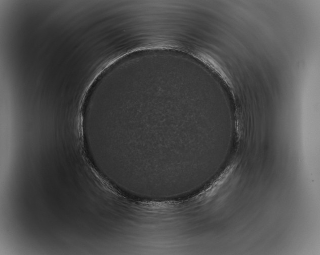 X0000093120781200710101039